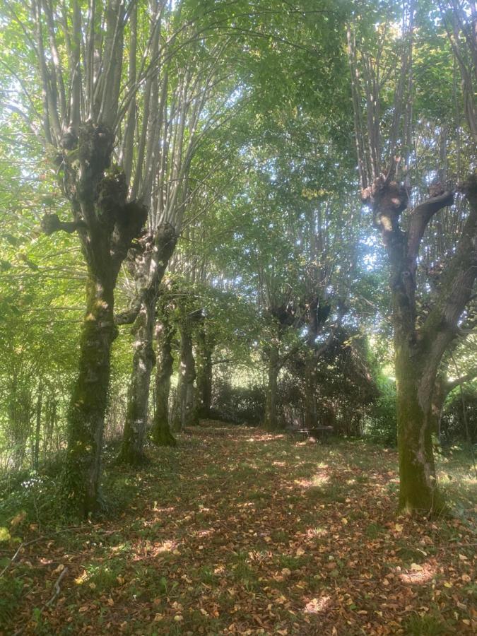 Manoir Des Pavements * Lisieux