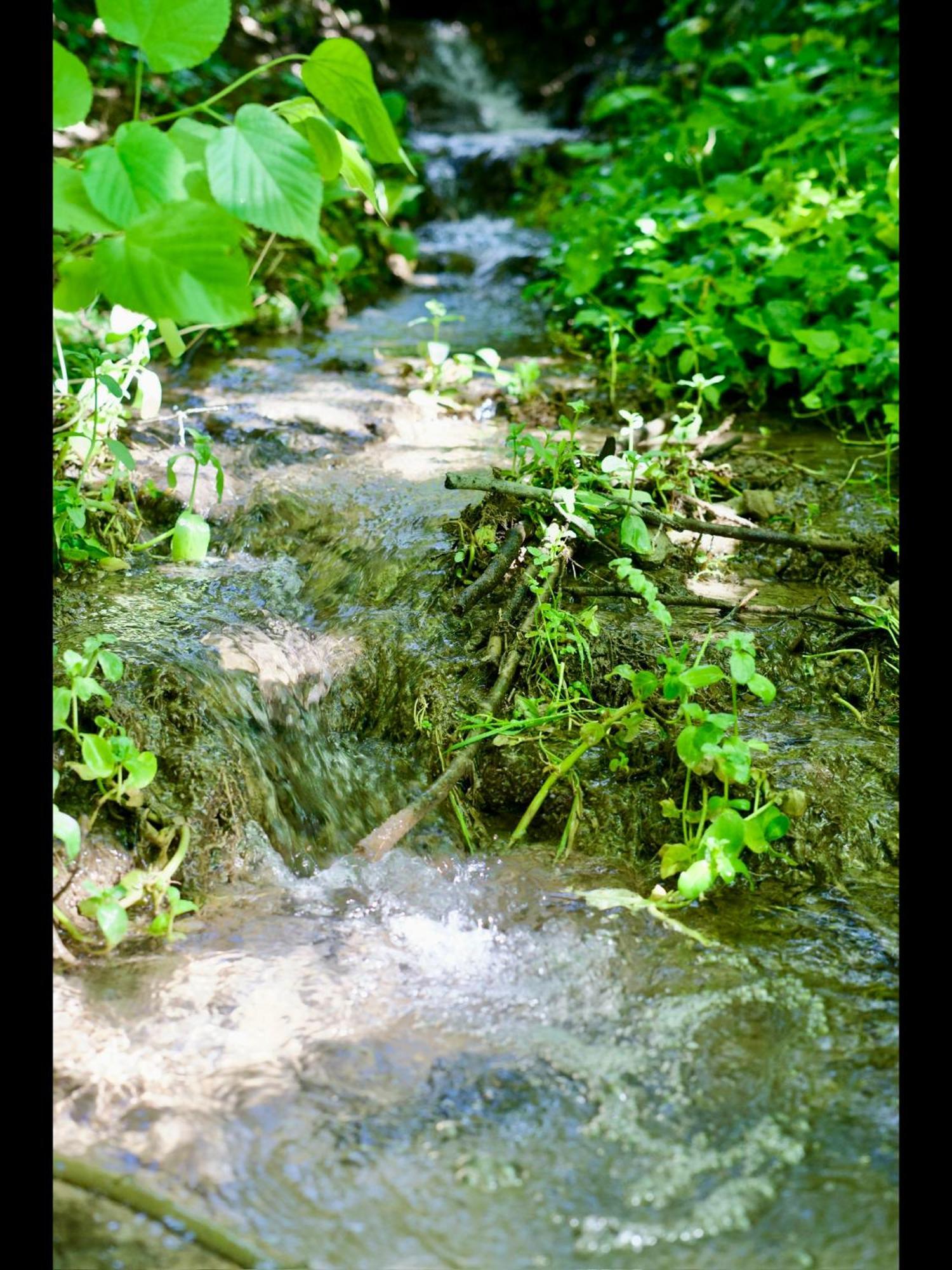 Manoir Des Pavements * Lisieux
